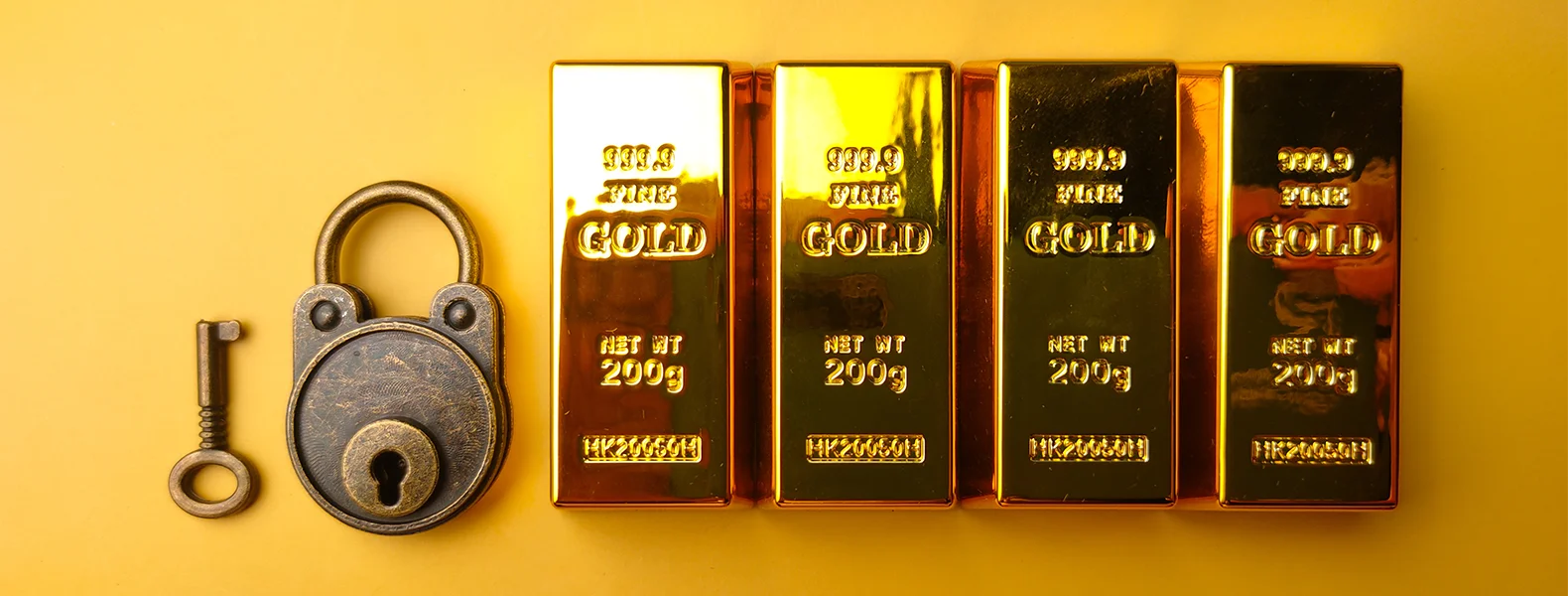 DVTGOLD Security Gold Storage in Florida